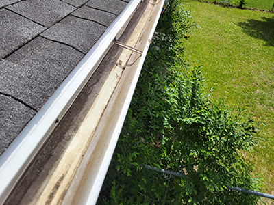 Gutter Cleaning