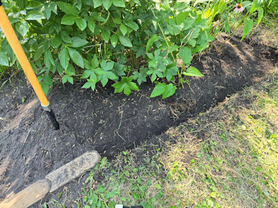 Landscape Edging