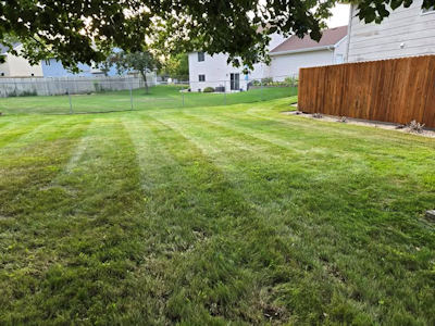 Lawn Mowing