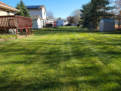 Lawn Mowing