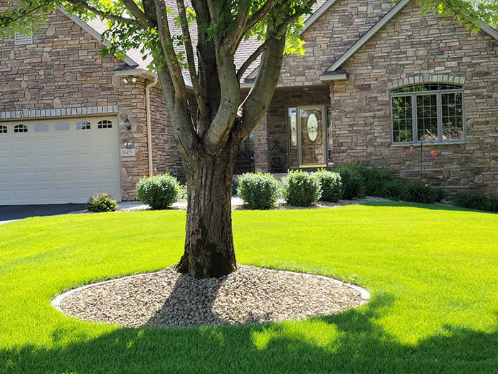 Lawn Care In Centerville, MN