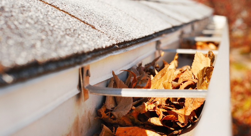 Crystal Fall Gutter Cleaning