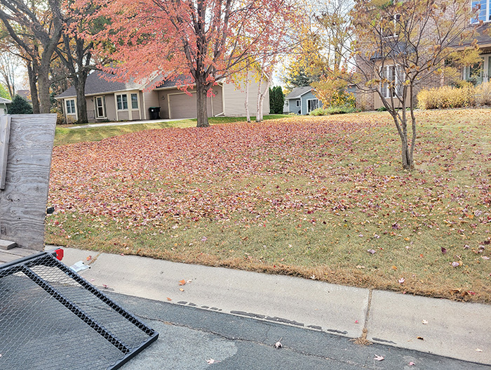 Fall Clean Up New Hope, MN