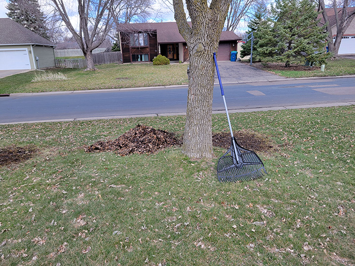Spring Clean Up Northeast Minneapolis, MN